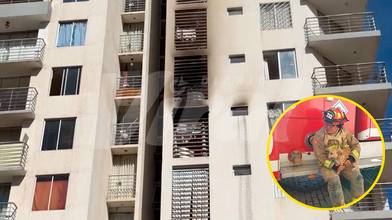 Bomberos rescatan a perrito atrapado durante incendio en Miraflores