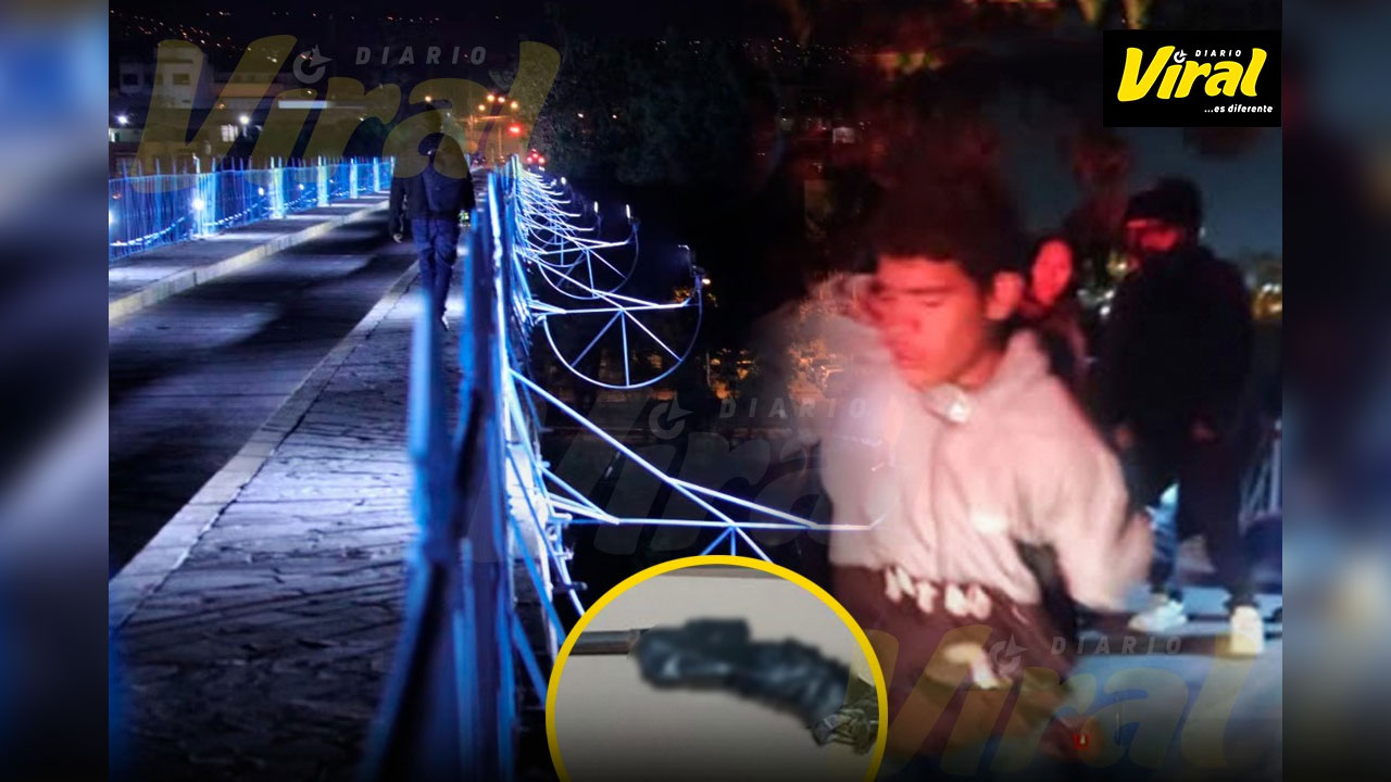 Extranjero ilegal a prisión por intento de robo